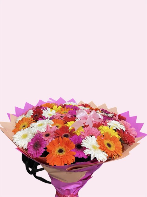 50 gerberas de colores.