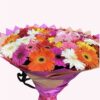 50 gerberas de colores.