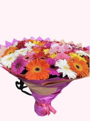 50 gerberas de colores.