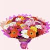 50 gerberas de colores.