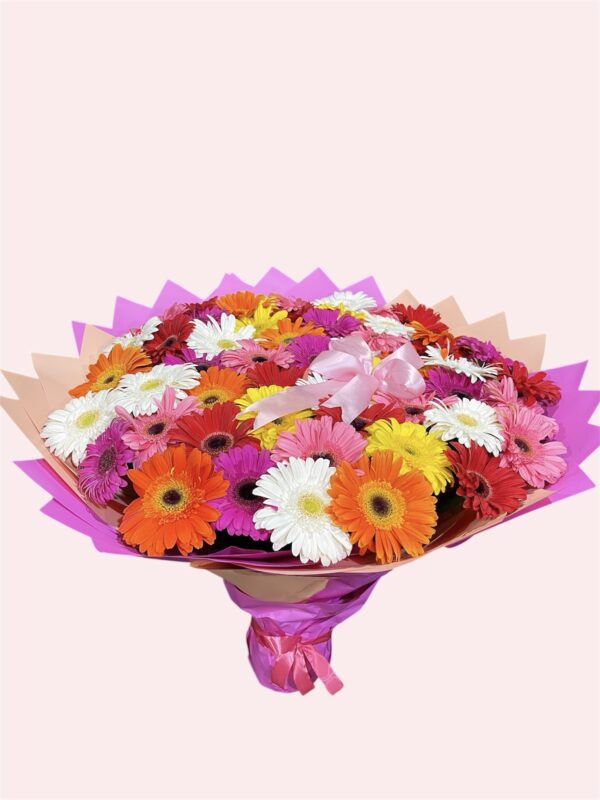 50 gerberas de colores.