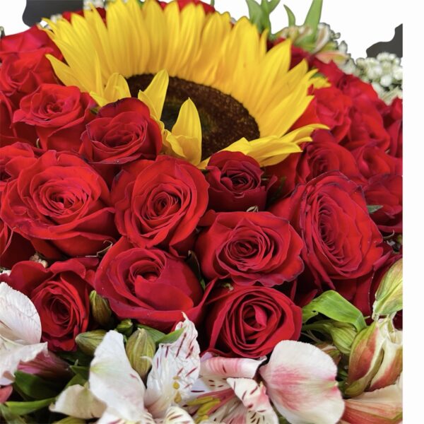 Ramo de 50 rosas con 1 girasol
