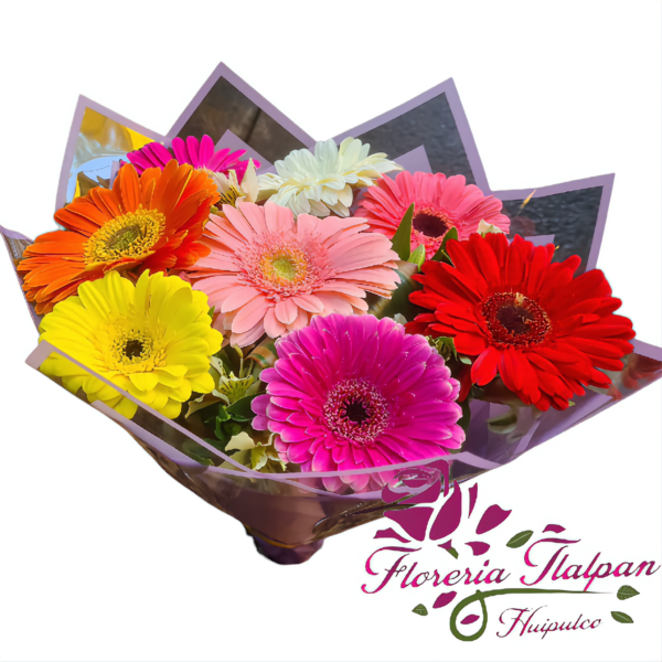 Ramo de Gerberas Multicolor