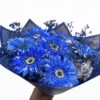 Gerberas azules Este ramo es perfecto para regalar a un hombre