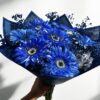 Gerberas azules Este ramo es perfecto para regalar a un hombre