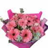 Gerberas rosadas