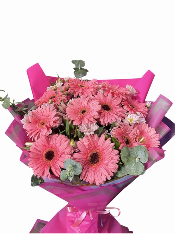 Gerberas rosadas