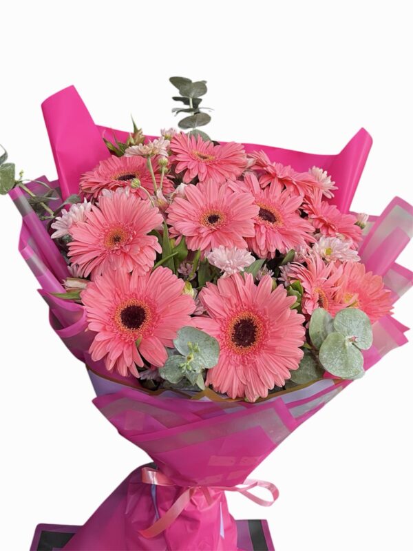 Gerberas rosadas
