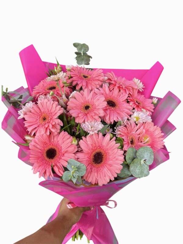 Gerberas rosadas